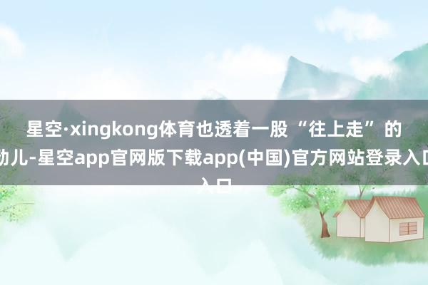 星空·xingkong体育也透着一股 “往上走” 的劲儿-星空app官网版下载app(中国)官方网站登录入口